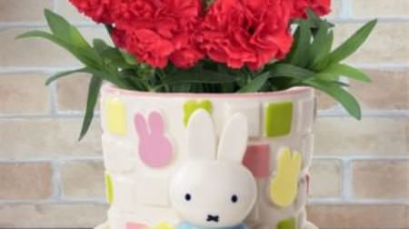 A gift for Mother's Day from Flower Miffy--a cute set of Miffy and carnations