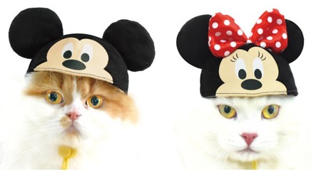 Feeling like a cat and Disneyland? Disney's first cat cosplay miscellaneous goods are now available