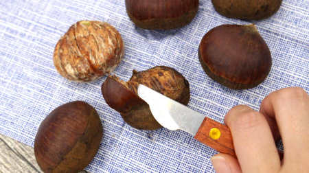 Chestnut Peeler" by Daiso makes it easy to peel the skin of chestnuts! Easy without damaging your fingernails!