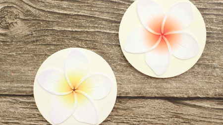 Flower diatomaceous earth coaster in Can Do! A gorgeous summer table