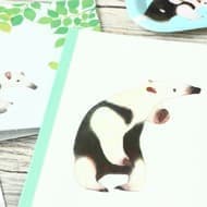 白黒のアリクイも文具や雑貨に--キャンドゥの可愛い動物シリーズ「Can★Zoo」は動物園好きにおすすめ