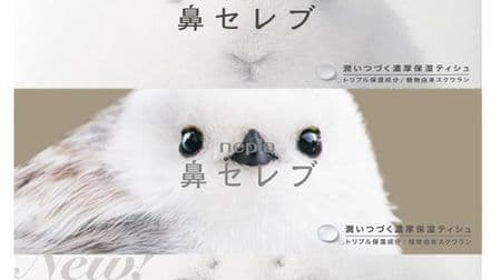 Limited design for moisturizing tissue "Nose Celebrity"-Rabbit and seal, too cute Shimaenaga ♪
