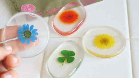 New work with pressed flowers in Daiso's gel puff! Four-leaf clover that seems to be good