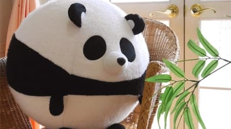 Transform into a big panda--a cute balance ball cover turns into Villevan