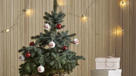今年もイケアに“モミの木”が登場--クリスマス後は返却して1,500円分クーポンに