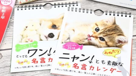 [2020] Highly recommended! 4 Daiso Calendars--A great deal for 3 years, with animal photos, and a weekly turn to become an educated person