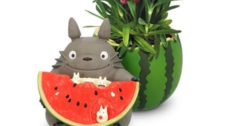 [Mother's Day] My Neighbor Totoro and Witch's Takkyubin Flower Gift --Set carnation and cute planter