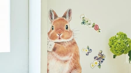 4 cute "Pyokotto Peeping Rabbit Wall Stickers" --From the humor miscellaneous goods brand "YOU + MORE!"