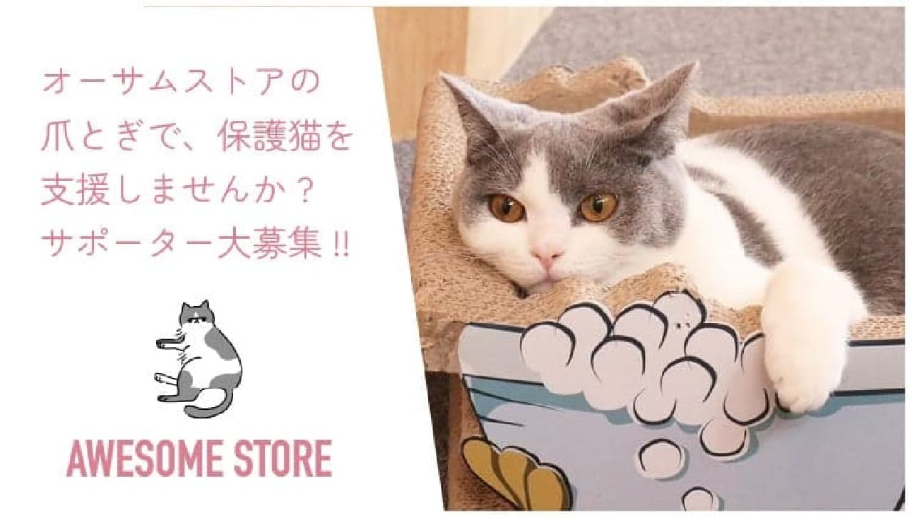 AWESOME STORE starts selling cat scratching posts! Crowdfunding begins with a portion of sales to be donated to cat protection activities [October 1, 2023] Image 1