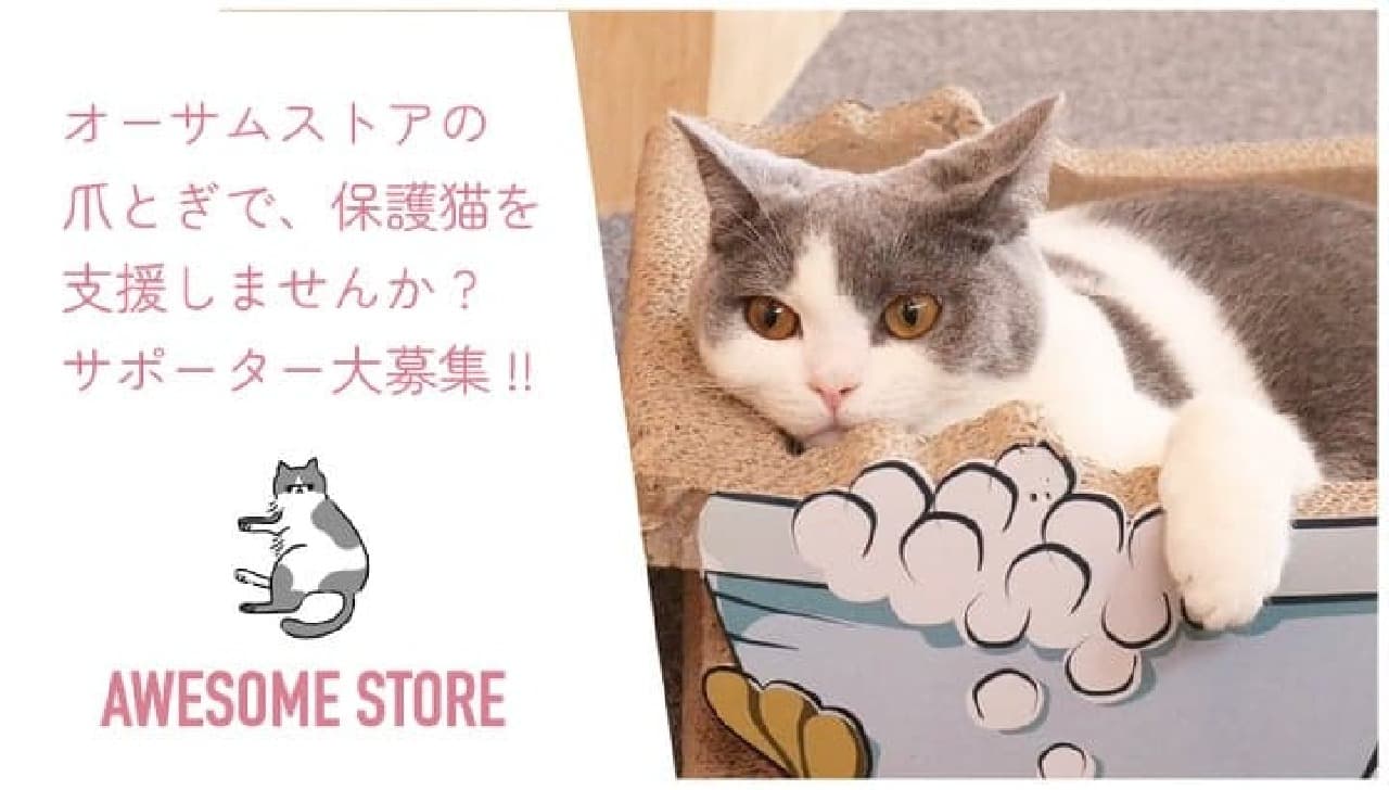 オーサムストア、猫の爪とぎ発売開始！売上の一部を保護猫活動へ寄付するクラウドファンディング開始【2023年10月1日】 画像2